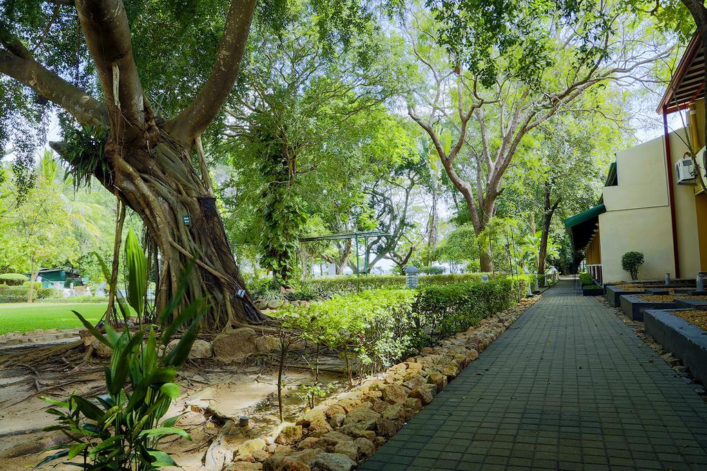 Miridiya Lake Resort Anuradhapura Dış mekan fotoğraf